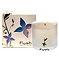 Fushi Wellbeing Candles