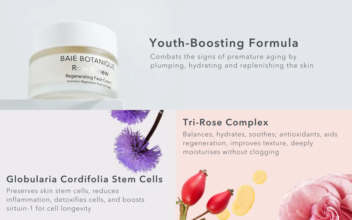 Baie Botanique Regenerating Rose Face Cream